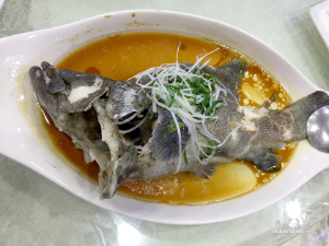 養(yǎng)生食譜----清蒸松江鱸魚